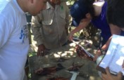 Control of Lionfish in the Mesoamerican Reef