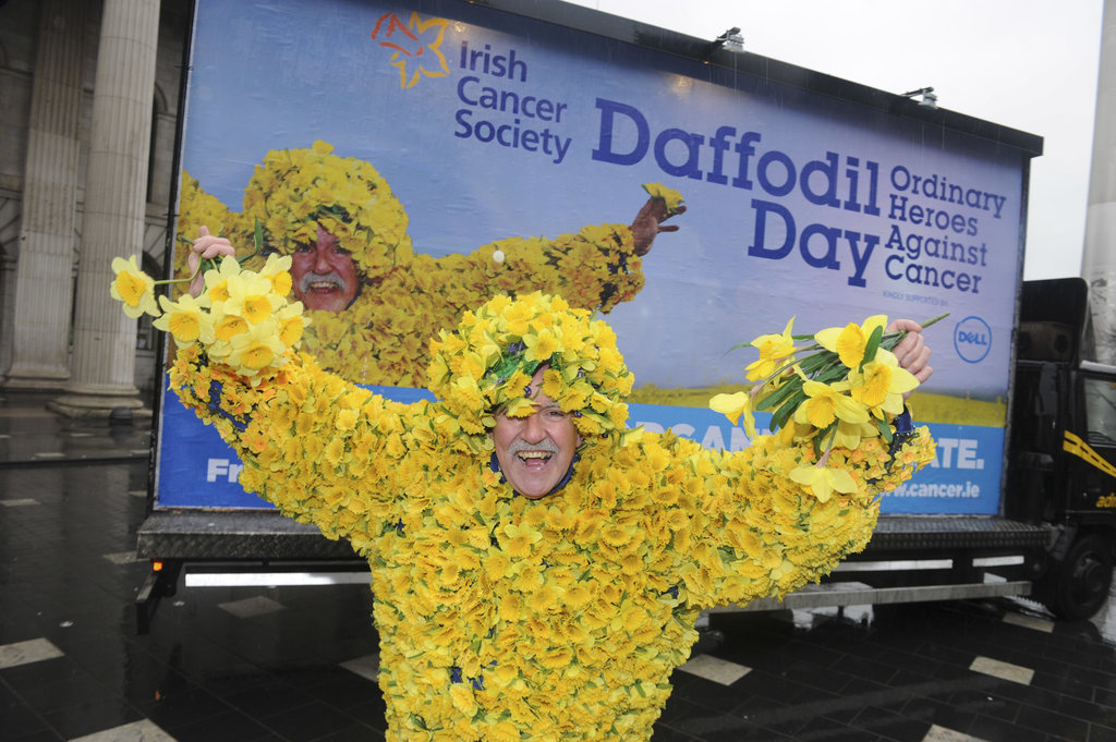 Daffodil Day 2013
