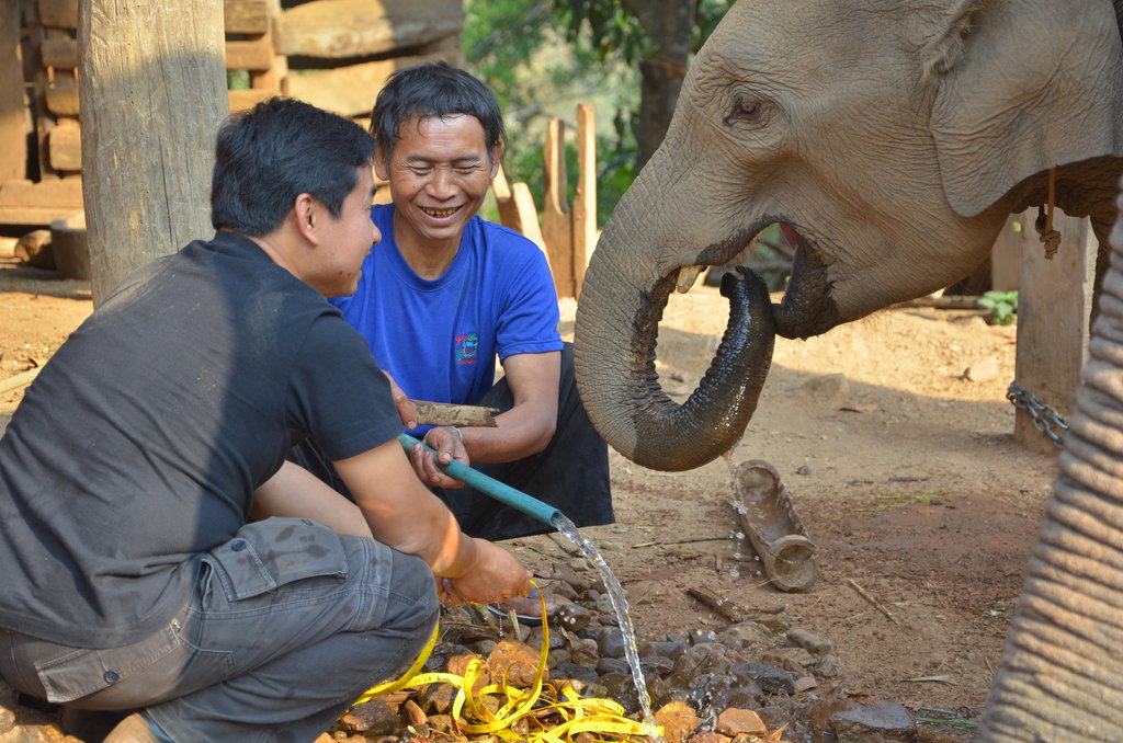 The Global Innovation and Education Fund