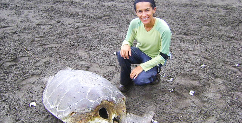 The Global Innovation and Education Fund