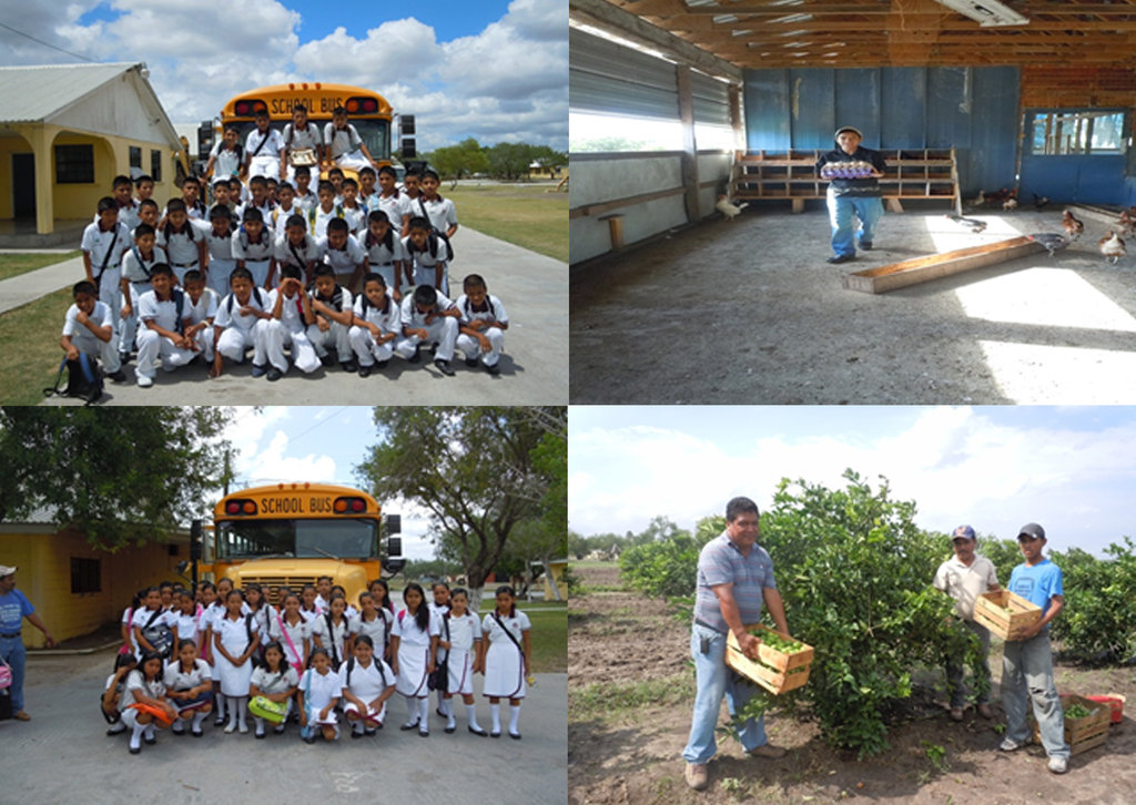 Projects and the First Day of School