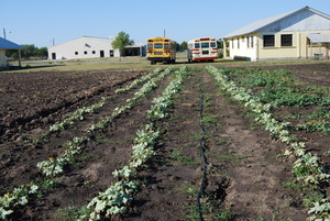 A New Irrigated Garden