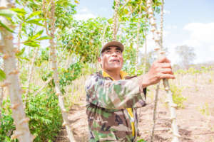 Farmers are increasing their crops and income.