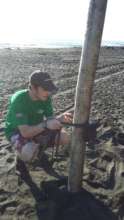 Putting up camera traps
