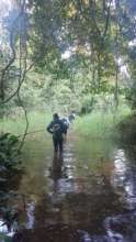 Out on a biodiversity hike