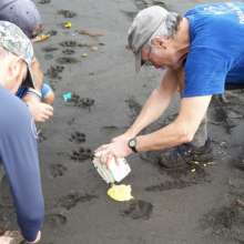 Taking samples of jag prints in the sand