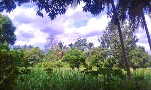 Beautiful countryside surrounding Port-au-Prince