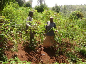 Visitor talking to community member about cassava