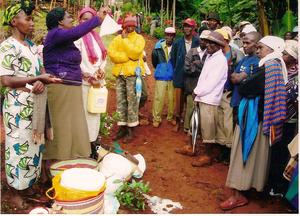 Women making cassava based food