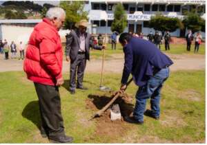 Symbolic act for the construction of the library