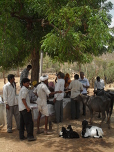 Men's self help group