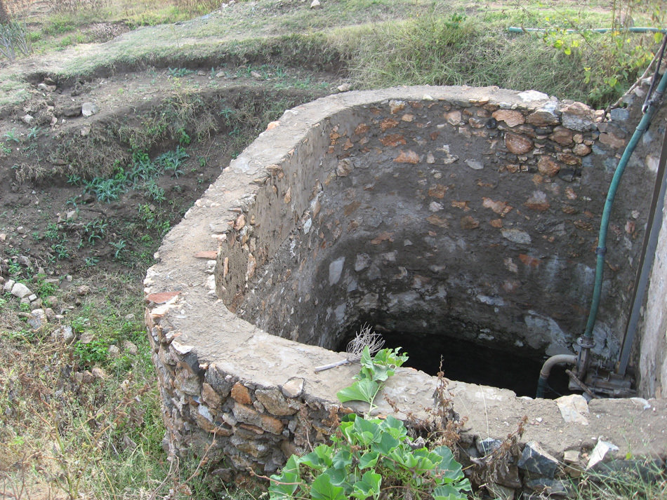 Environmental conservation builds families, India