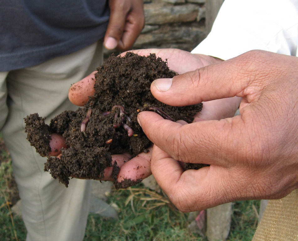Environmental conservation builds families, India
