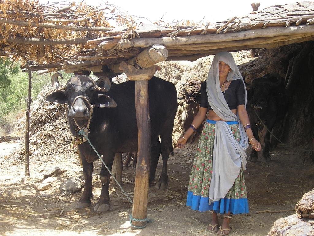 Environmental conservation builds families, India