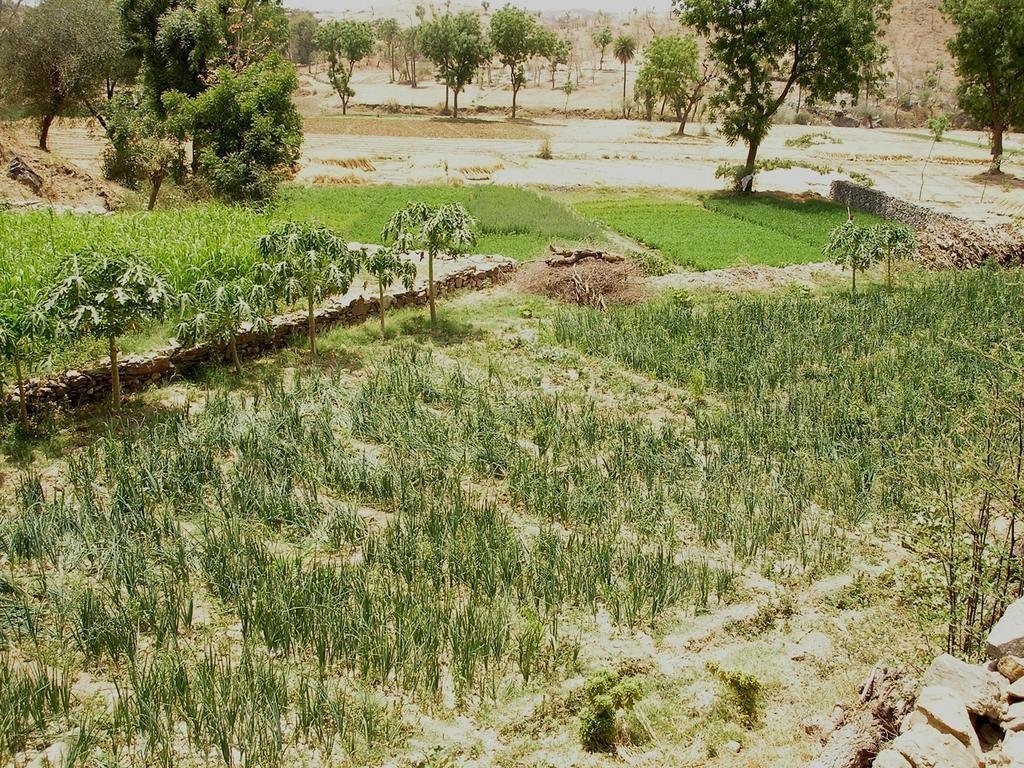 Environmental conservation builds families, India