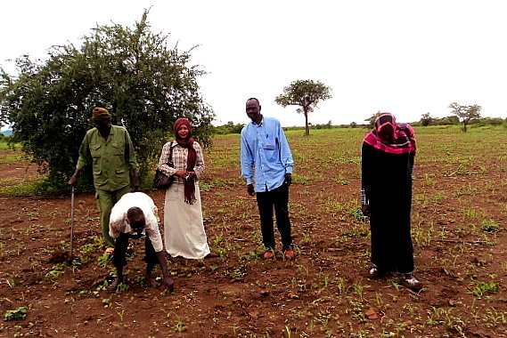 Fight Famine in Sudan with Emergency Relief