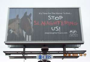 Canada Billboard in Action