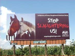 Indiana Billboard