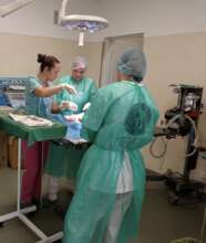 Dr. Roxana trains visiting vets