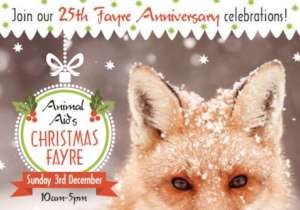 Meet our UK Team at the London Christmas Fayre