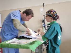 Dr. Luka receives training by Dr. Alexandra Nasta