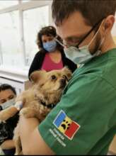 Dr. Daniel at remote spayathon