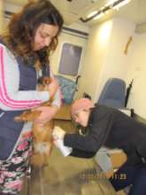 Dr. Roxana provides vaccines on Vet Patrol mission