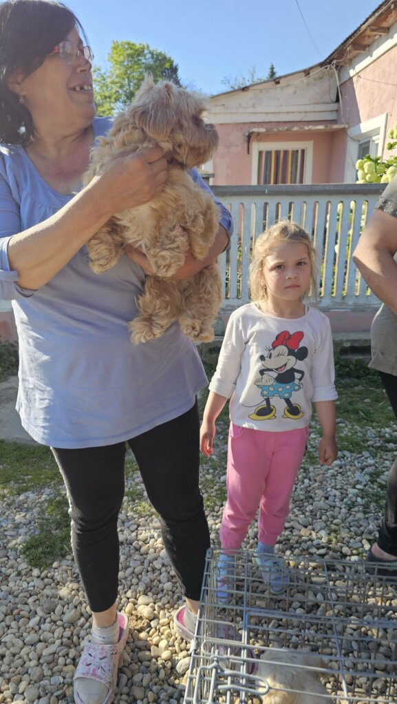 KIndness Patrol treateddogs from a poor village