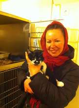 Cat brought in by Good Samaritan and then adopted