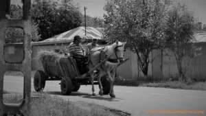 village of Piteasca, Romania