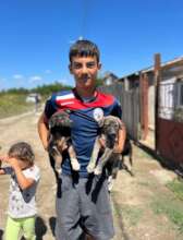 a responsible teenager