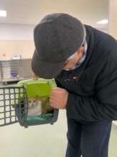 cat spay at Center of Hope