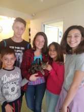 Children brought this cat into Family Vet for help