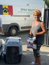 Working with Ilfov County