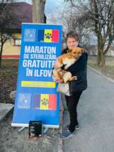 Ilfov County spay project