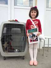 Education during our campaign in Vatra Dornei