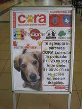 event in Bucharest with Romania Animal Rescue