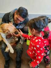 injured dog brought to spay campaign finds a home