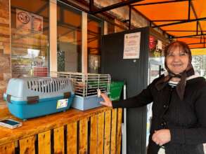 We will meet you and help you