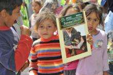 Education at spaythons