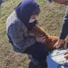 Tiny and Mrs. Georgescu reunited