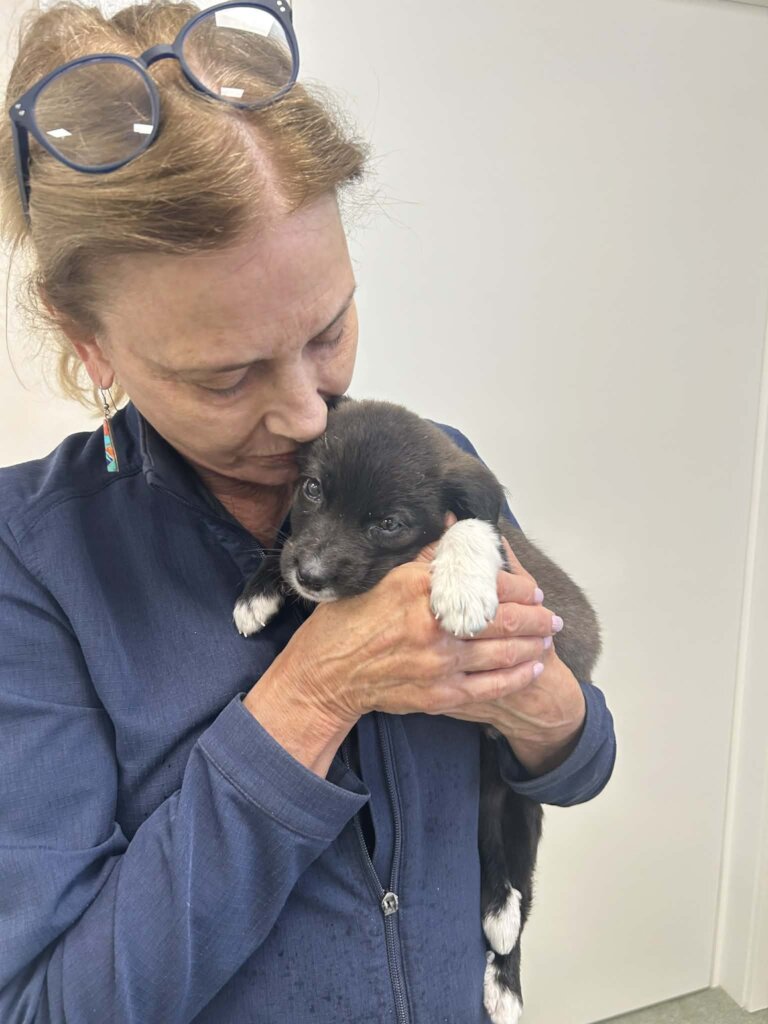 Blind puppy brought to Center of Hope