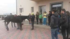 Equine veterinary education day Center of Hope