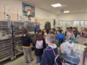 Visiting animals in recovery