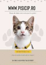 First cat microchip registry in Romania