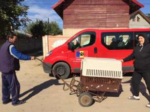 Rural village spayathon teaches welfare