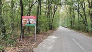 stop abandonment sign in the forest