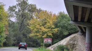 stop abandonment sign near highway