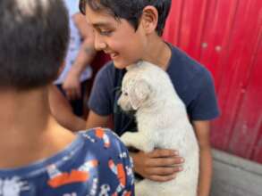 little boy brings his best friend for treatment