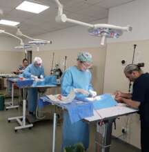 Veterinary Training Camp